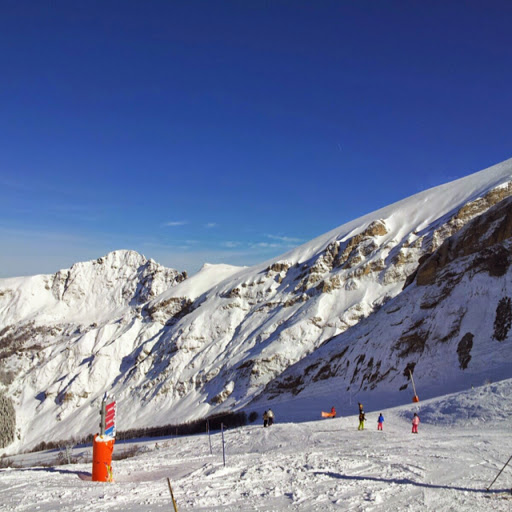 <div class="editor-content"><p>Johanna Rousset</p></div>, <div class="editor-content"><p>Google</p></div>