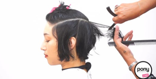 example of our mobile apps