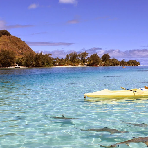 <div class="editor-content"><p>Lou Isa</p></div>, <div class="editor-content"><p>Google</p></div>