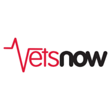 <div class="editor-content"><p>Vets Now</p></div>, 