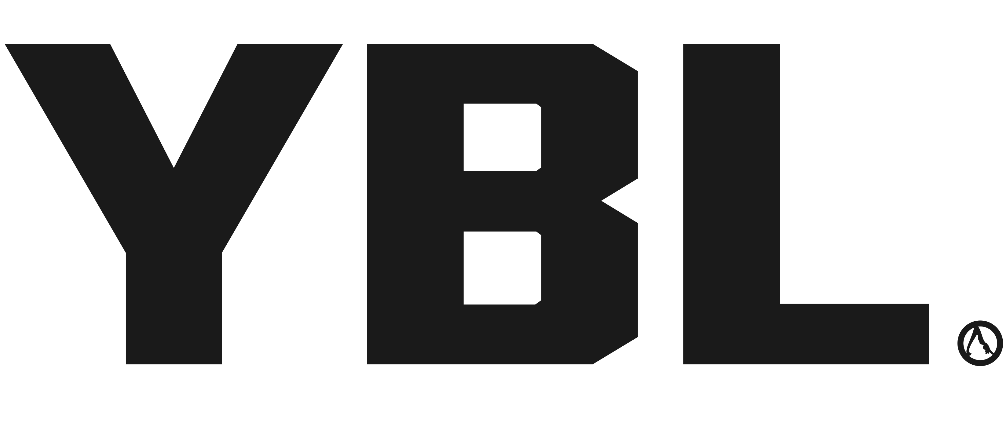 YBL. YOUR BEST LIFE LTD