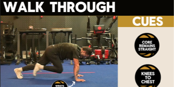 example of our mobile apps