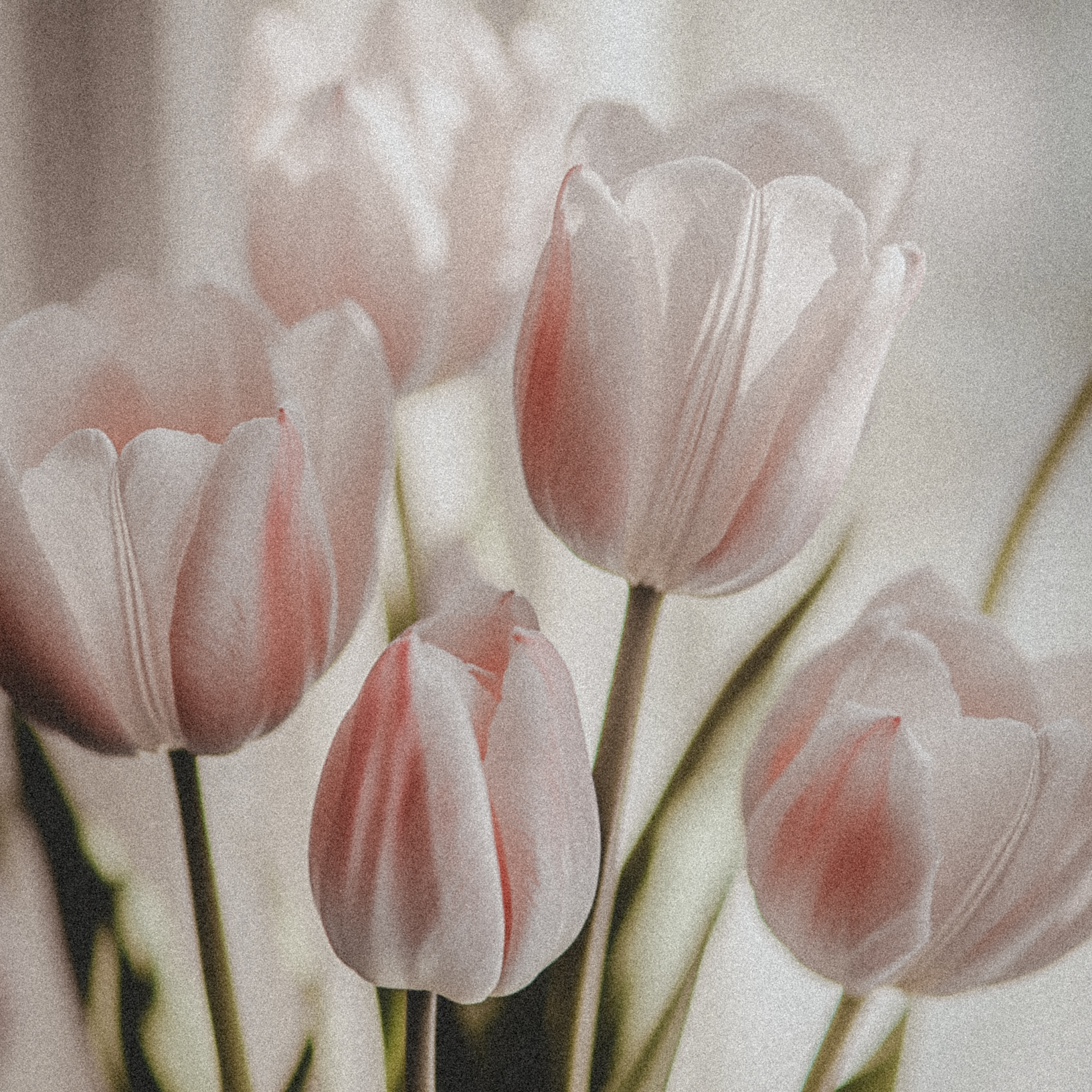 <div class="editor-content"><p>Karen P.</p></div>, 