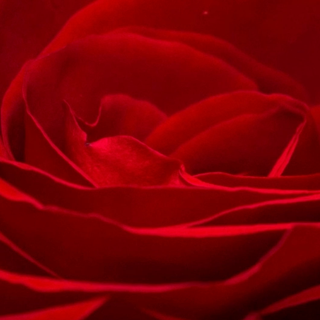 <div class="editor-content"><p><span style="font-size: 0.875rem">2025 Performance</span></p></div>, 