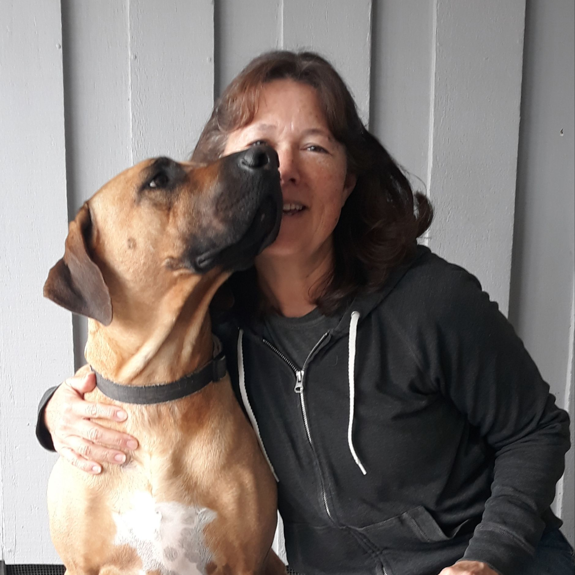 <div class="editor-content"><p><span style="font-size: 1.25rem; color: rgb(16, 119, 150)">★ ★ ★ ★ ★</span></p><p><span style="color: rgb(153, 0, 153)"><strong>TARA O</strong></span></p></div>,