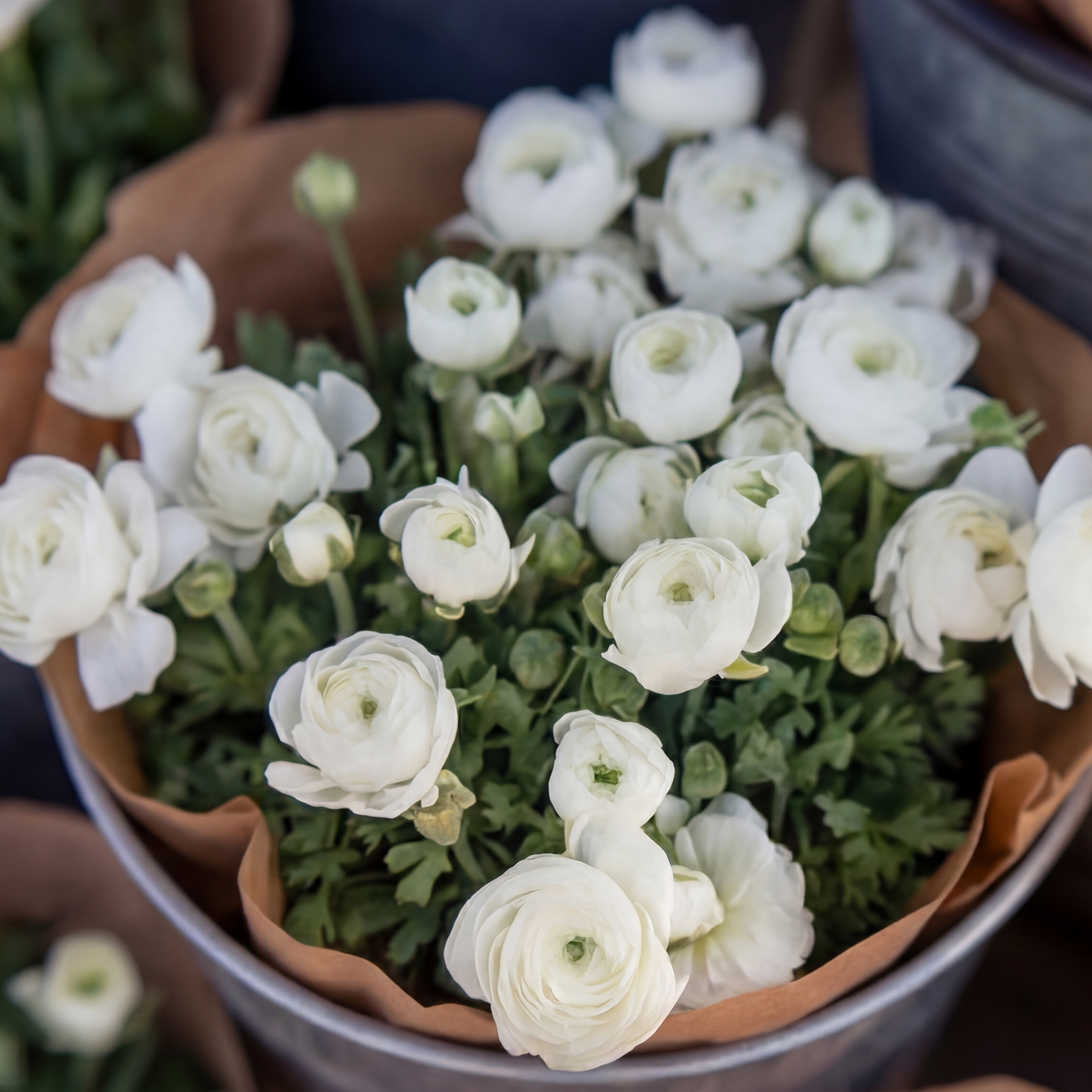 <div class="editor-content"><p><strong> </strong>Emma T.</p></div>, 