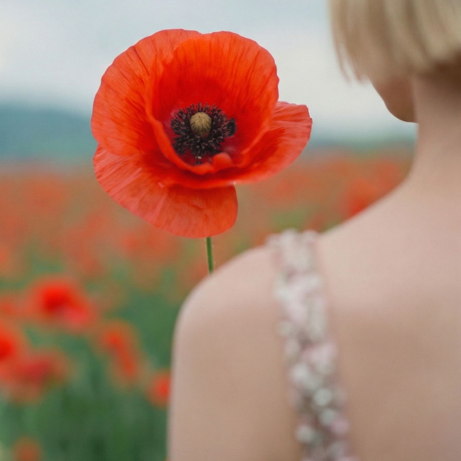 <div class="editor-content"><p><strong> </strong>Leah F.</p></div>, 