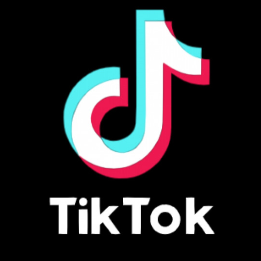 <div class="editor-content"><p>Tik Tok Live Participant</p></div>, 