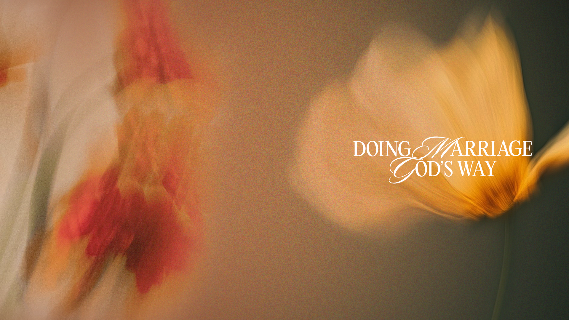 NEW COURSEby Jimmy Evans