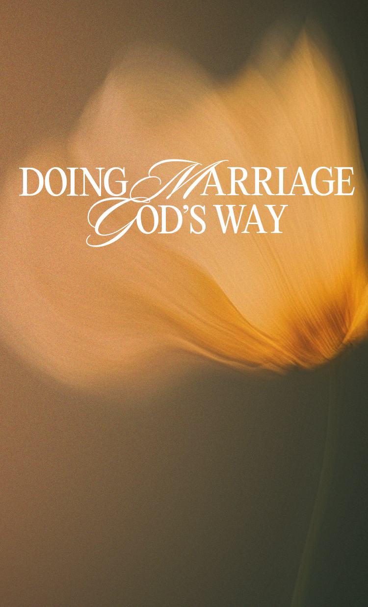 NEW COURSEby Jimmy Evans