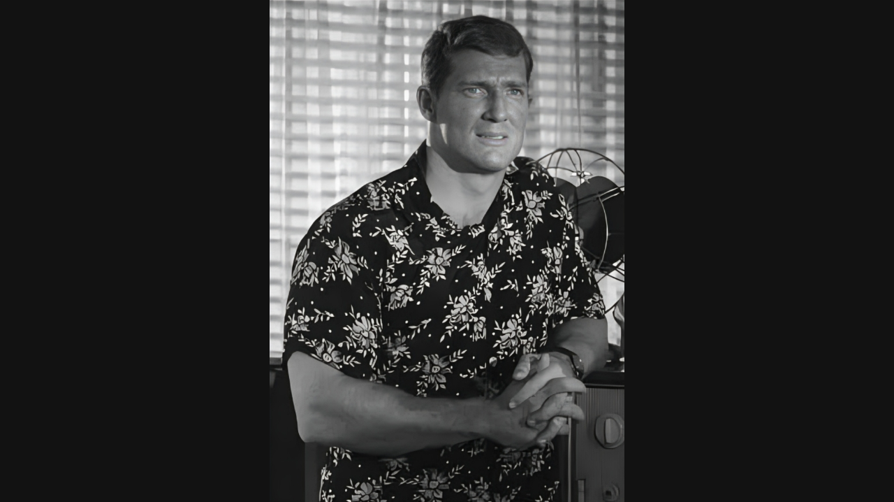 Brad Harris