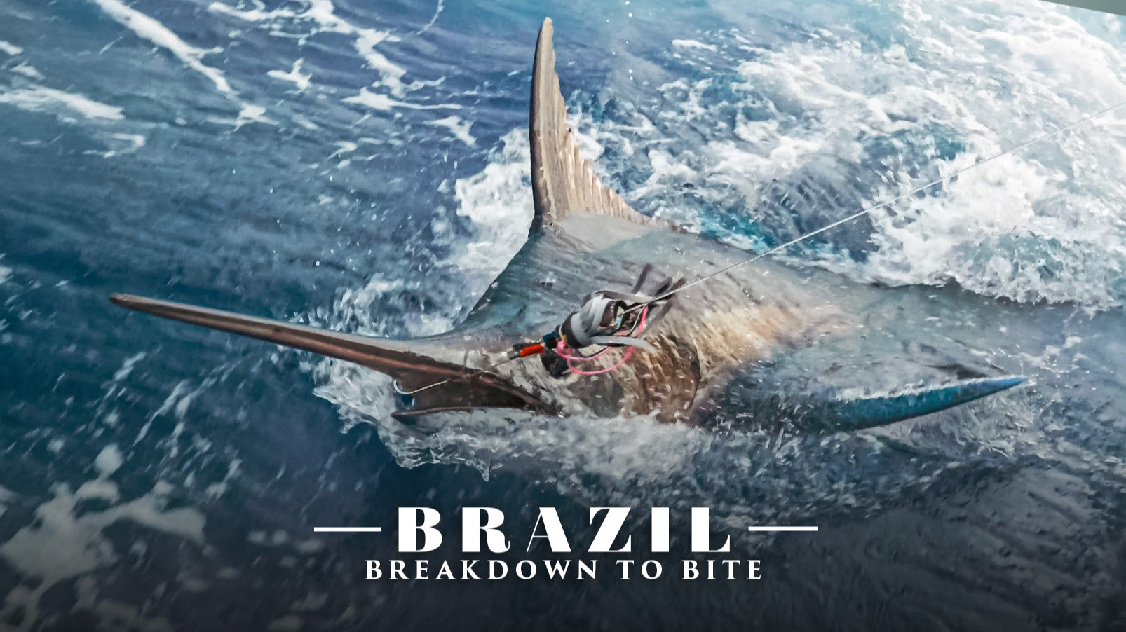 Brazil: Breakdown to Bite - Leg 17