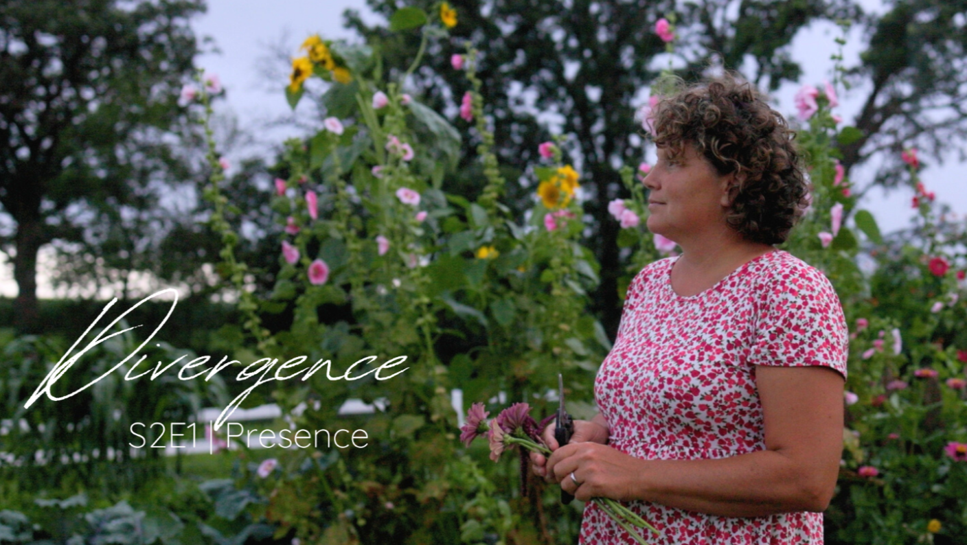 Divergence Season 1 & 2