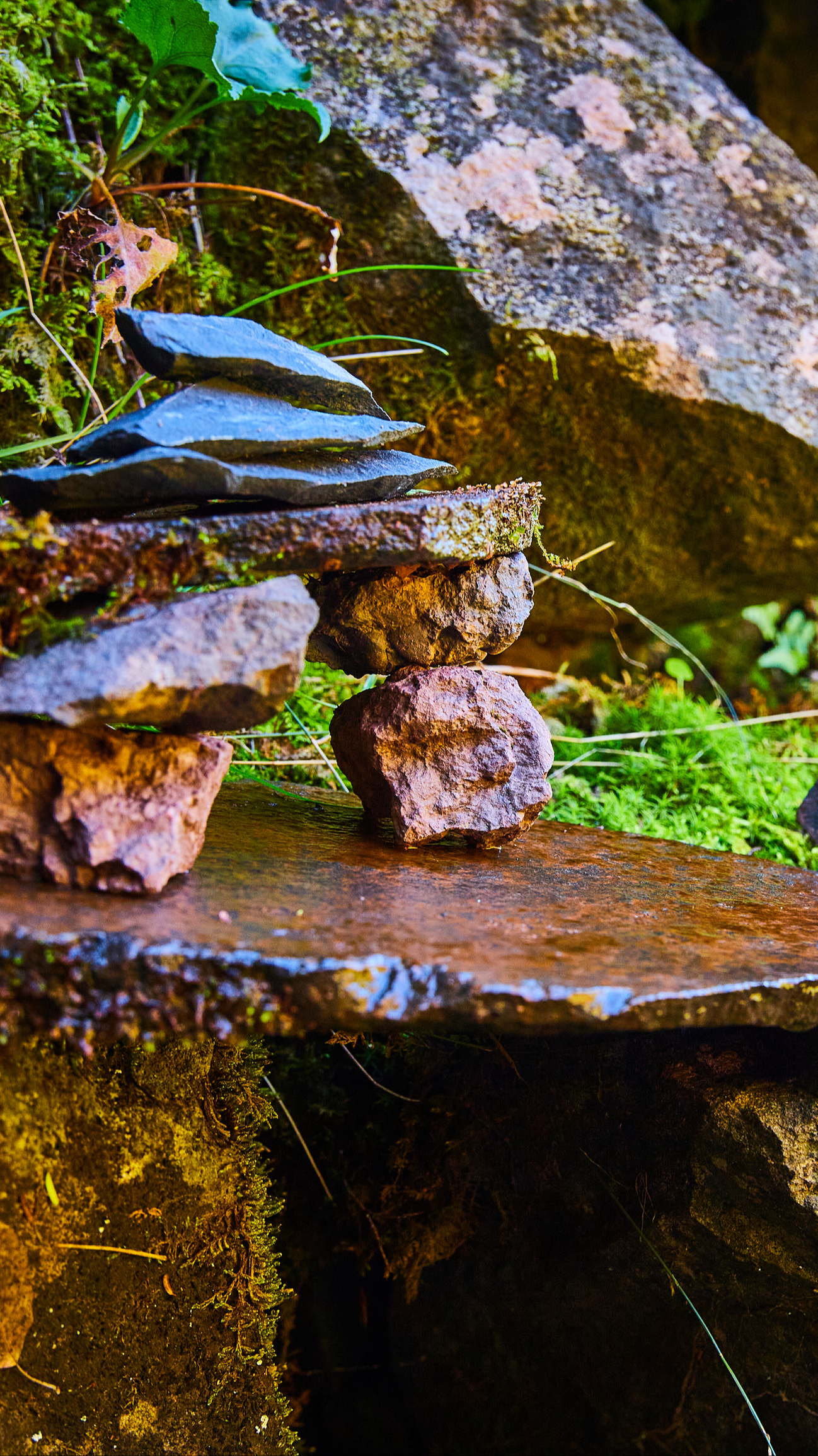 Welcome to the soundtracks of a less-stressed, happier and healthier you for the next year!