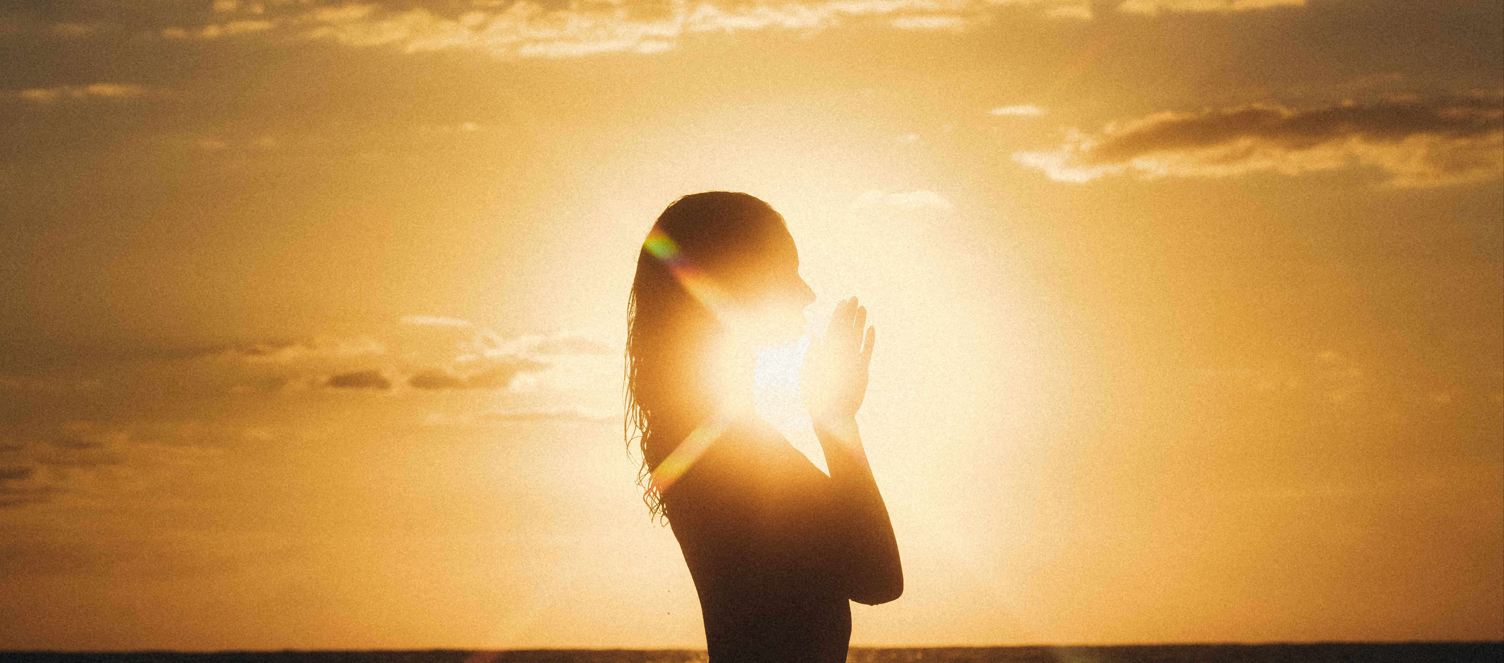 Unlimited access to structured movement designed for real progress.