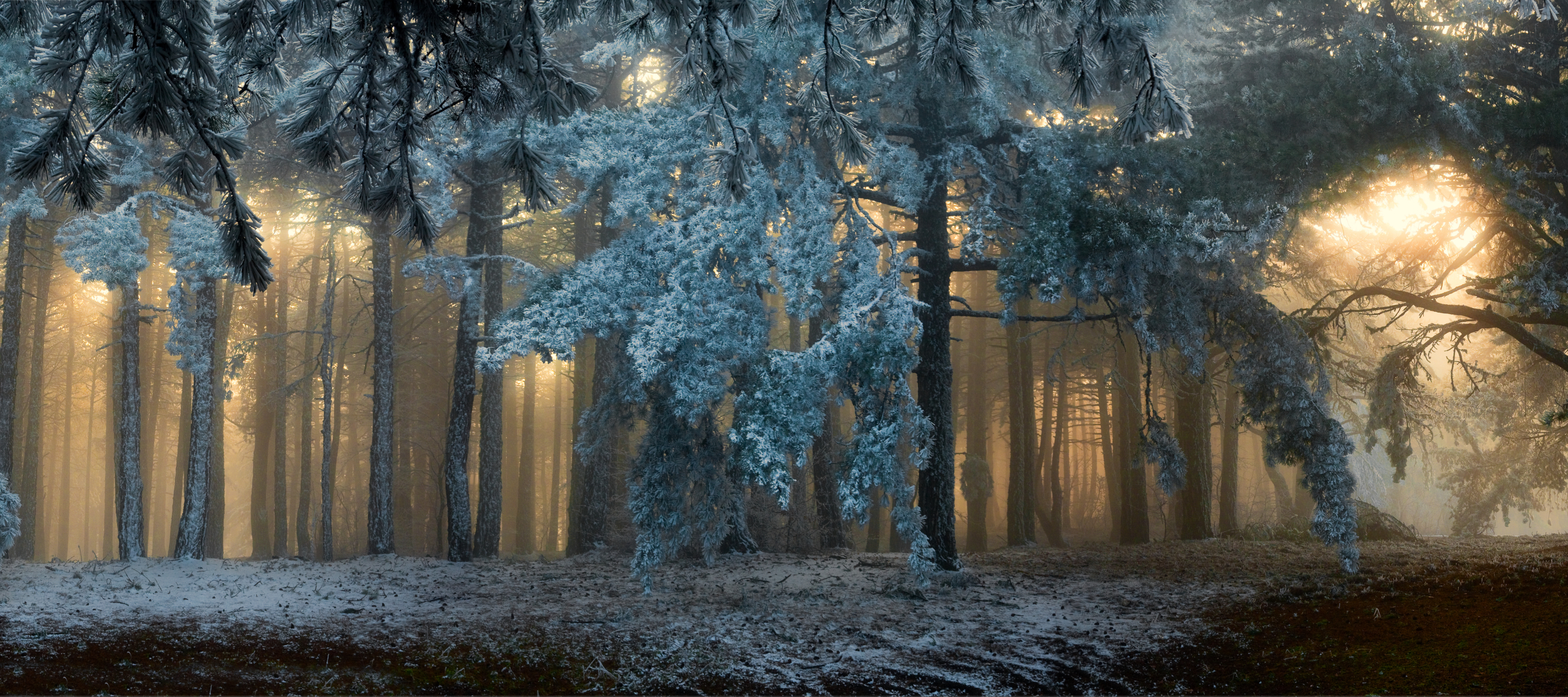 Welcome to the soundtracks of a less-stressed, happier and healthier you for the next year!