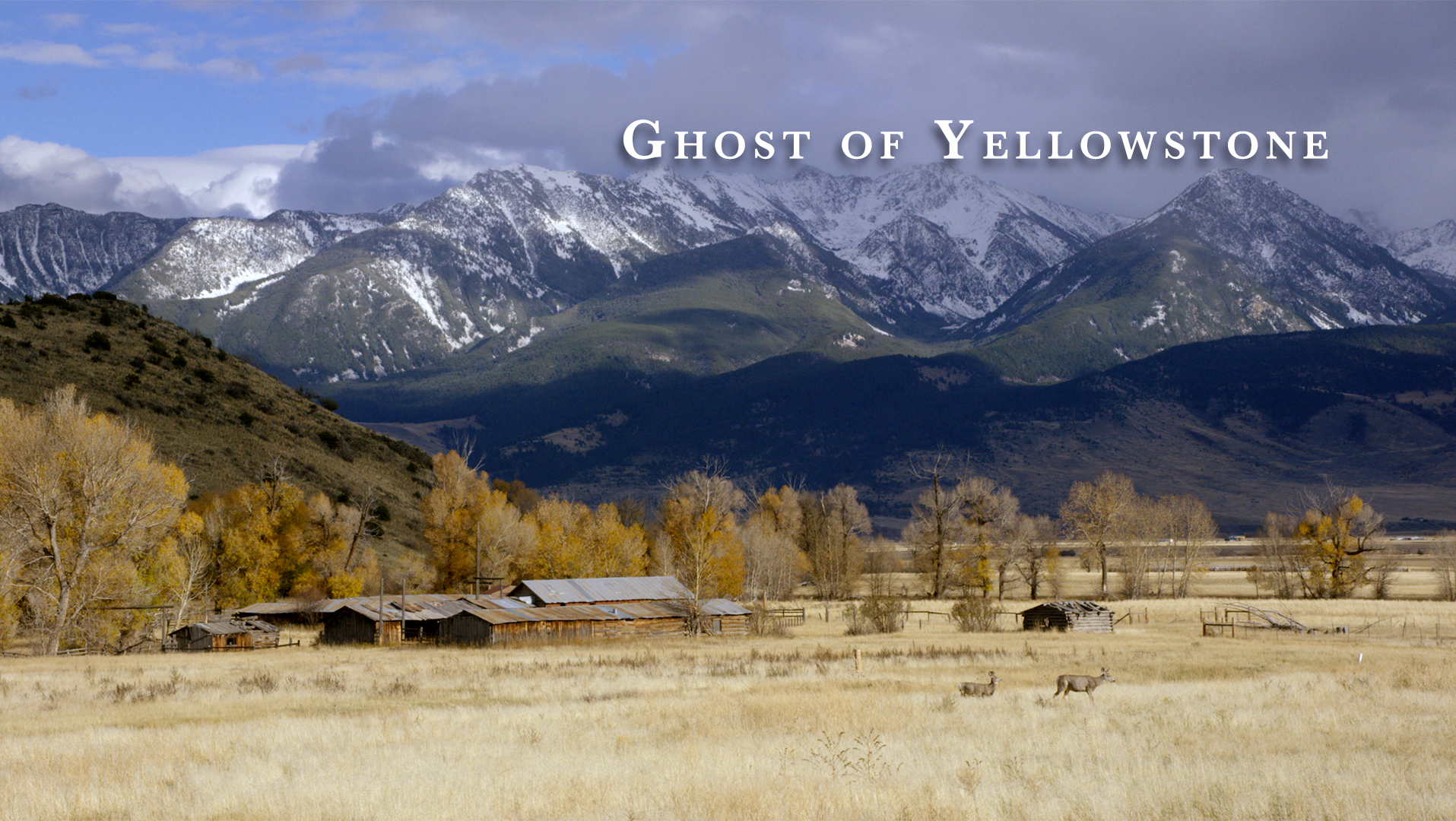 Ghost of Yellowstone
