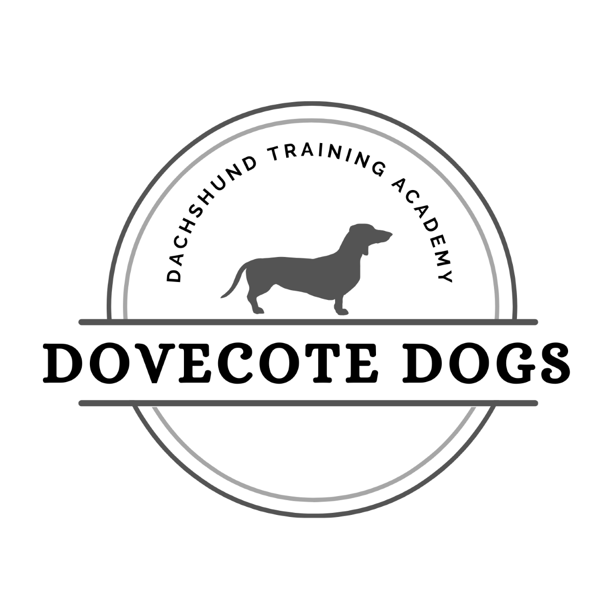 AND MUCH MUCH MORE...