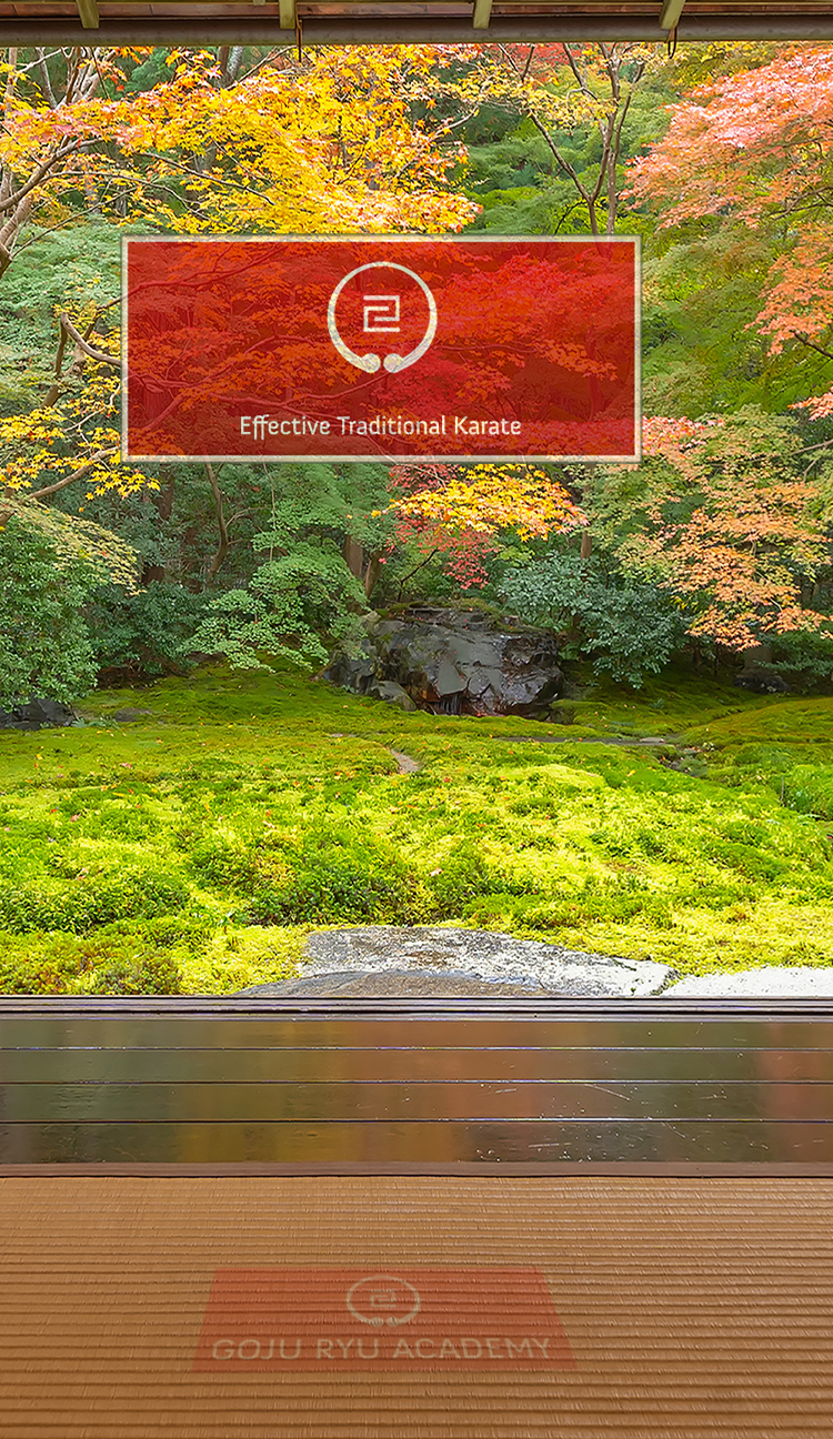 Effective Traditional Karate