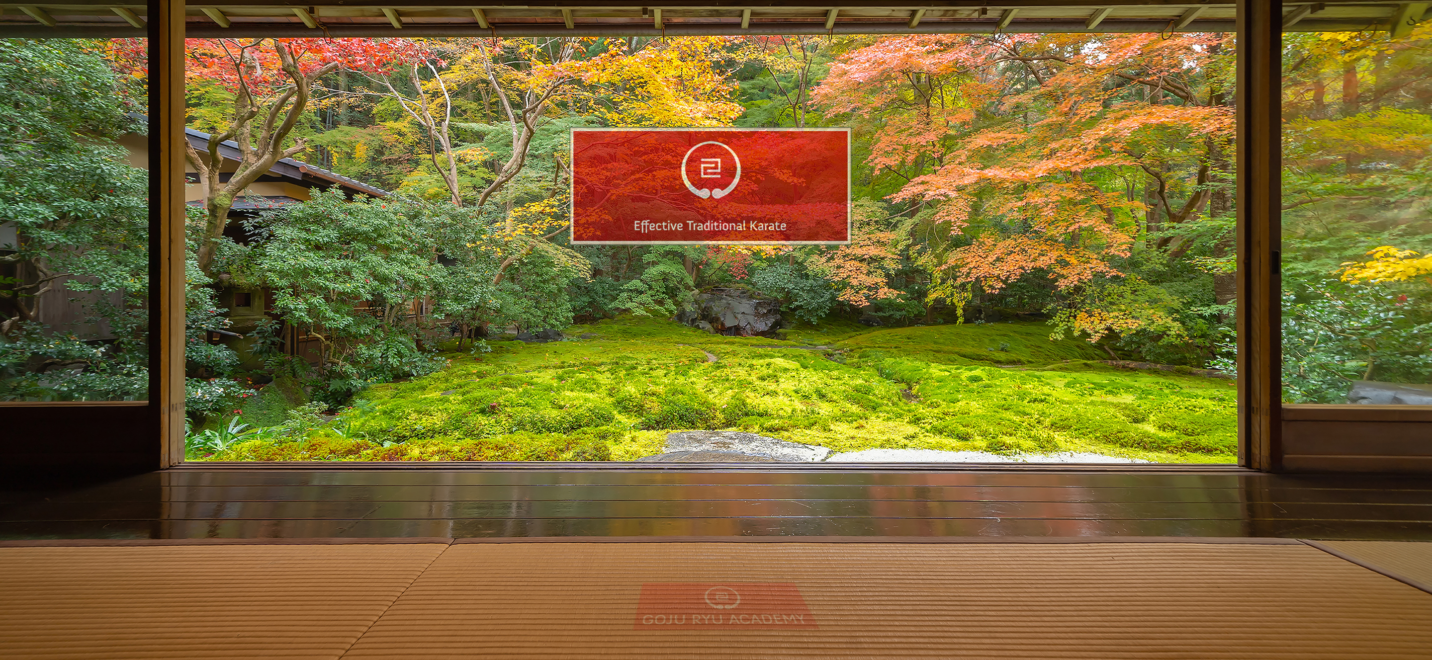 Effective Traditional Karate