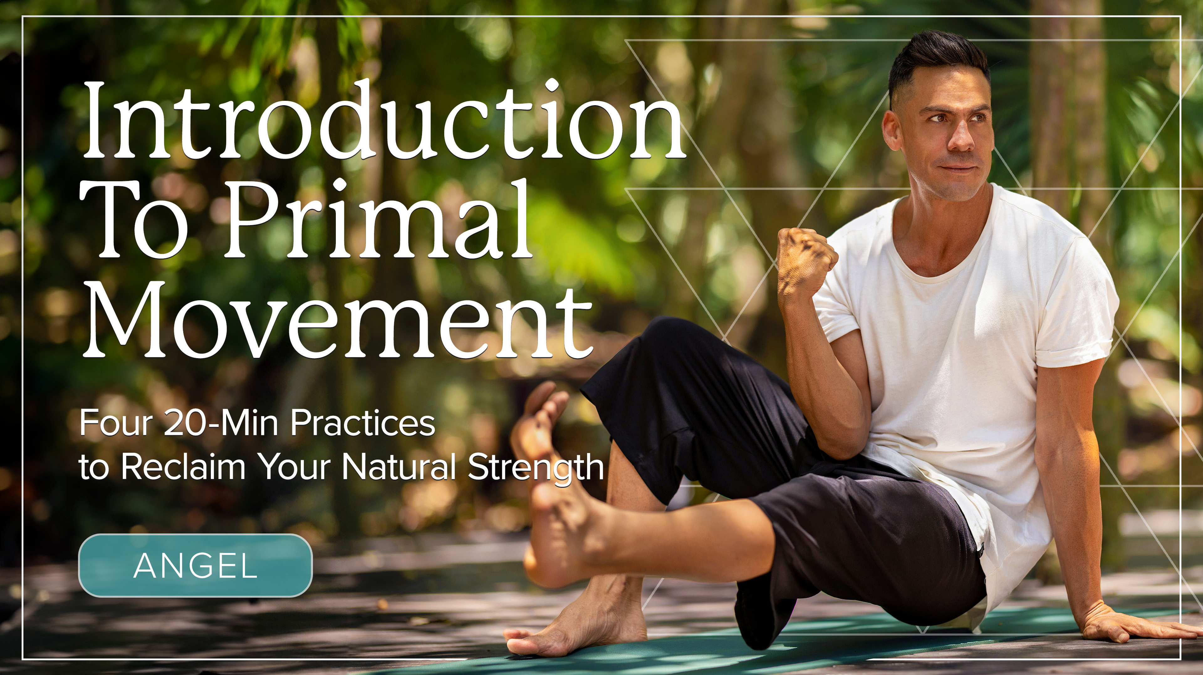 Open the Door to the World of Primal Movement