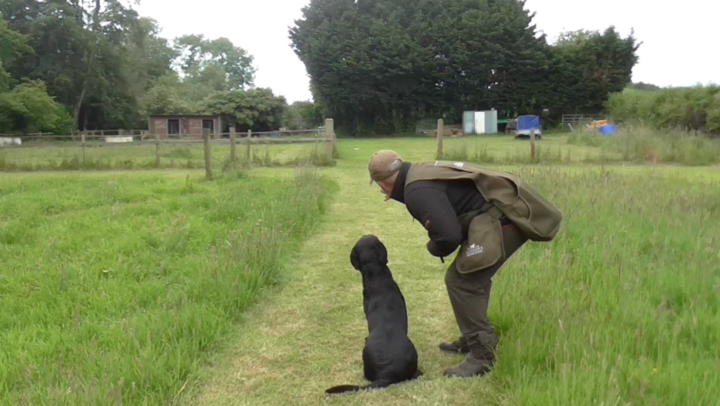 🟡 Ladder Drill with Left & Rights - Lucy