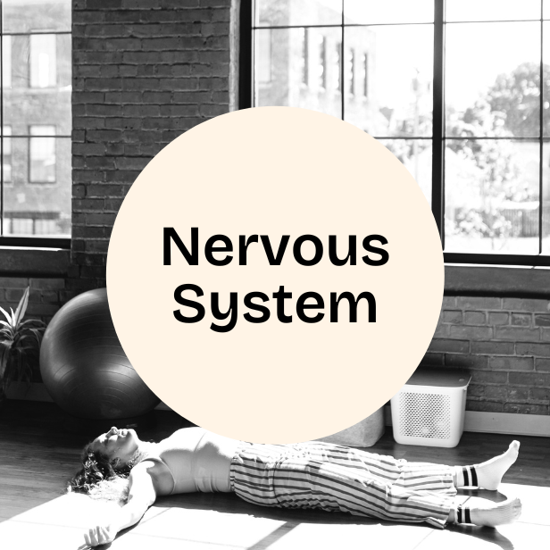 Nervous System
