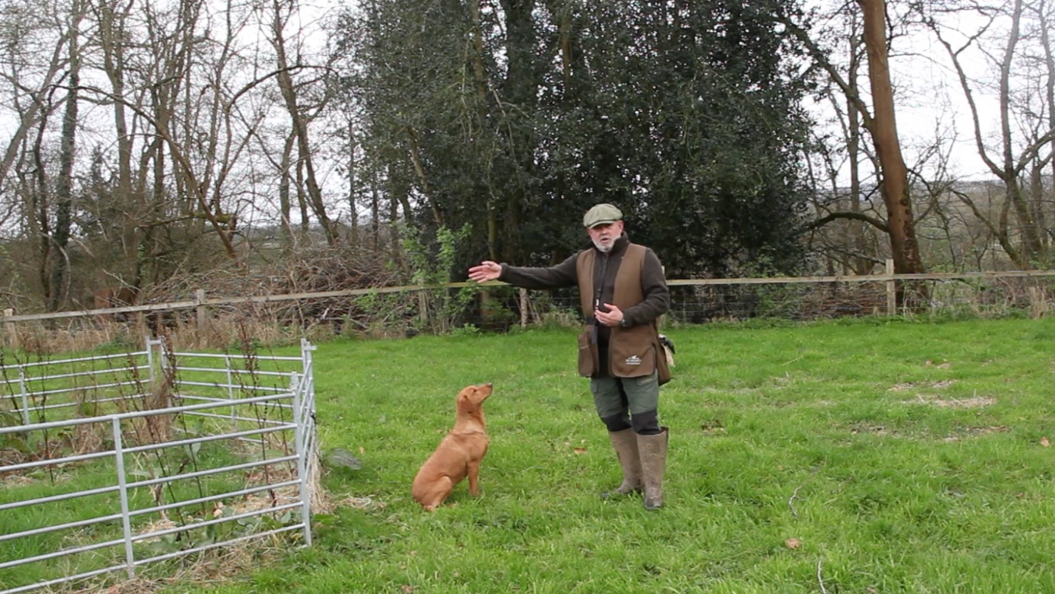 🔴🟡 Round Pen Jumping - FTCh Pepper