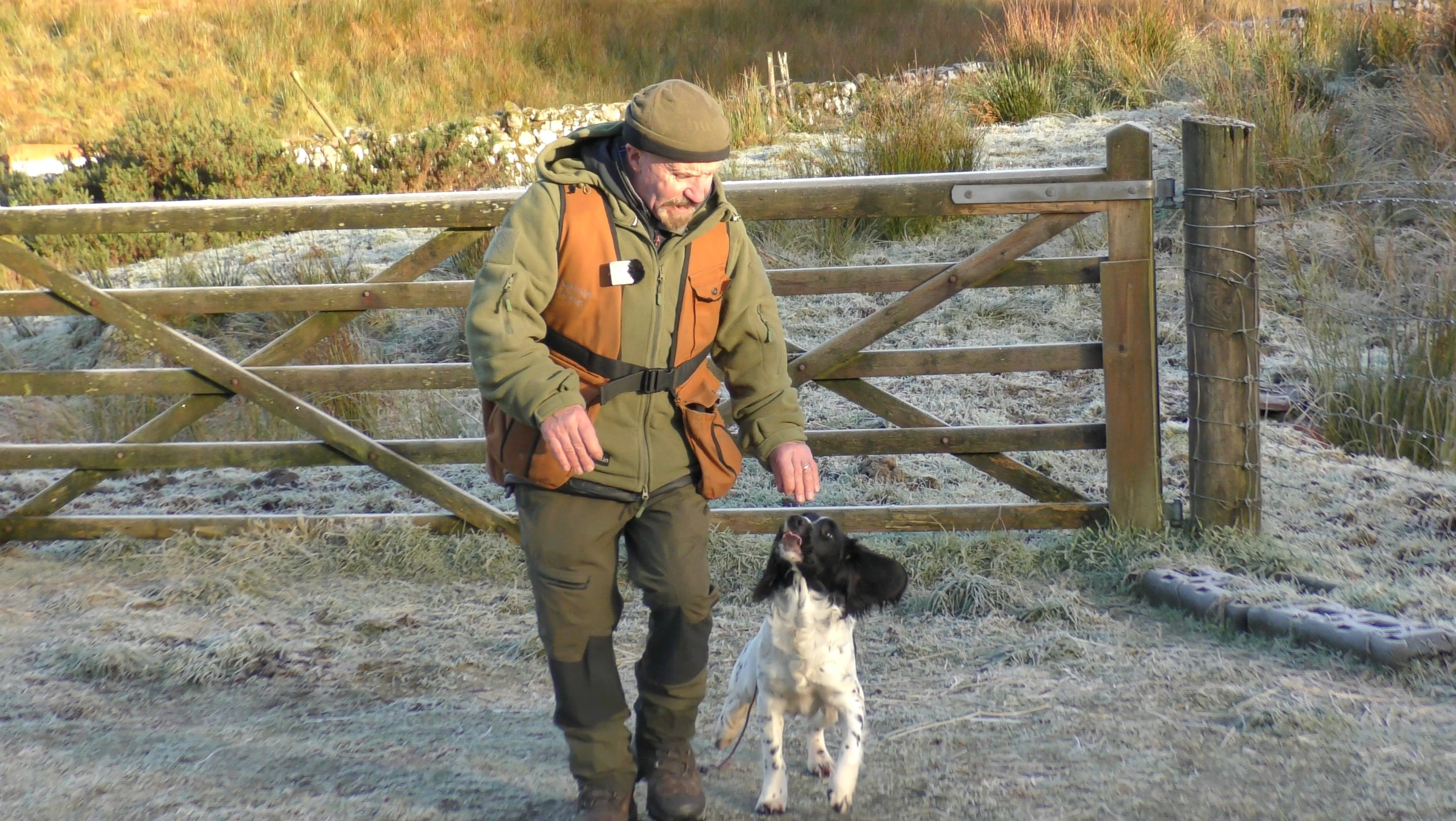 🟢 Rab - Starting Heelwork