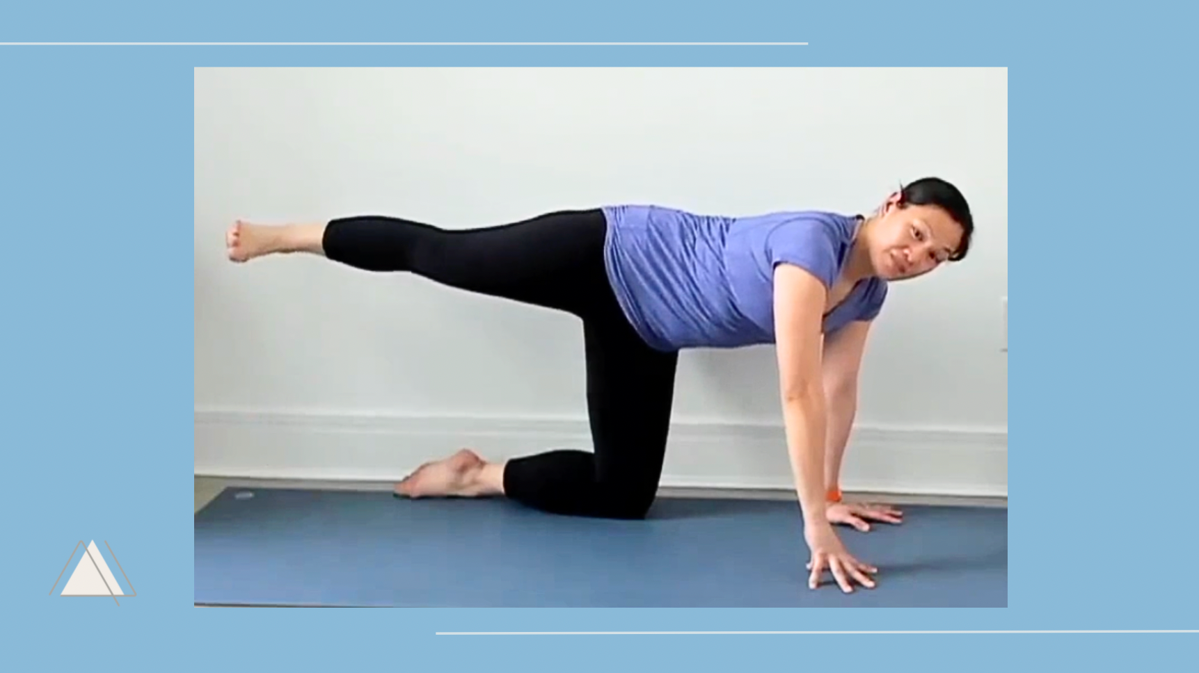 Full Body Strength + Mobility Level 1/2