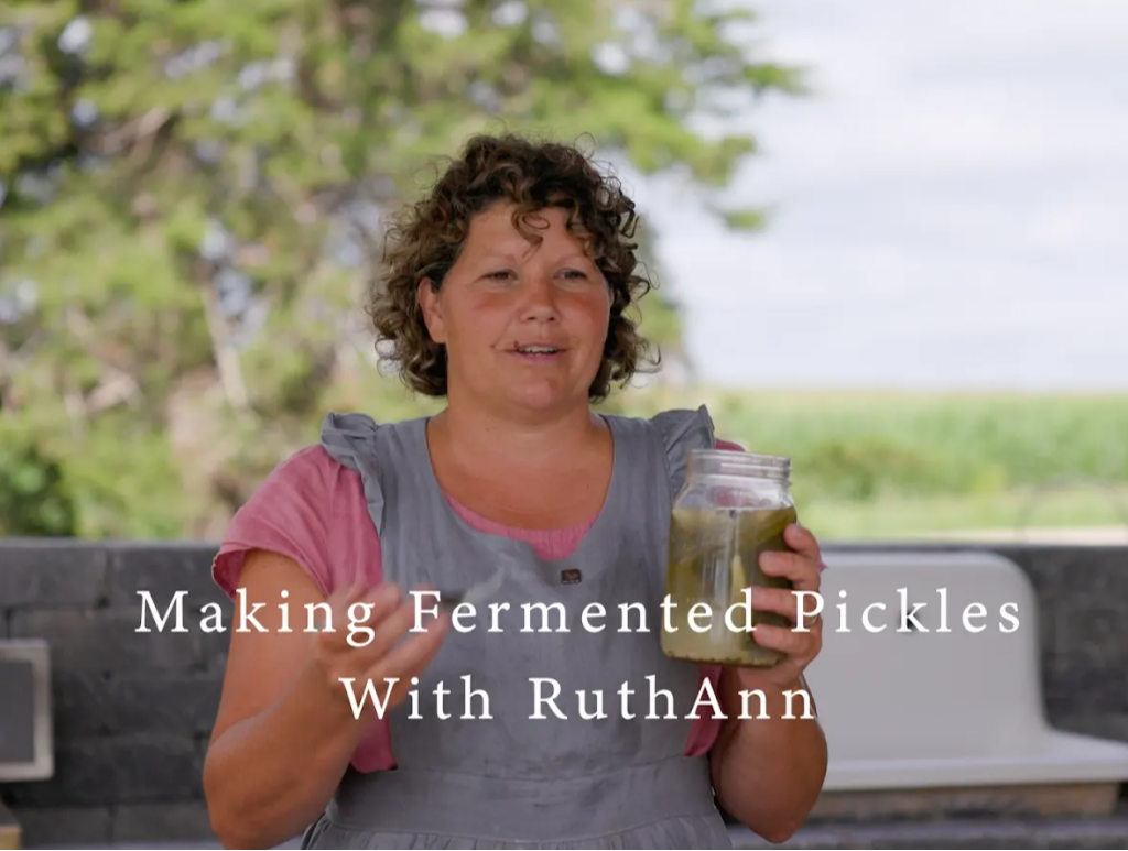 Download or Stream Anywhere