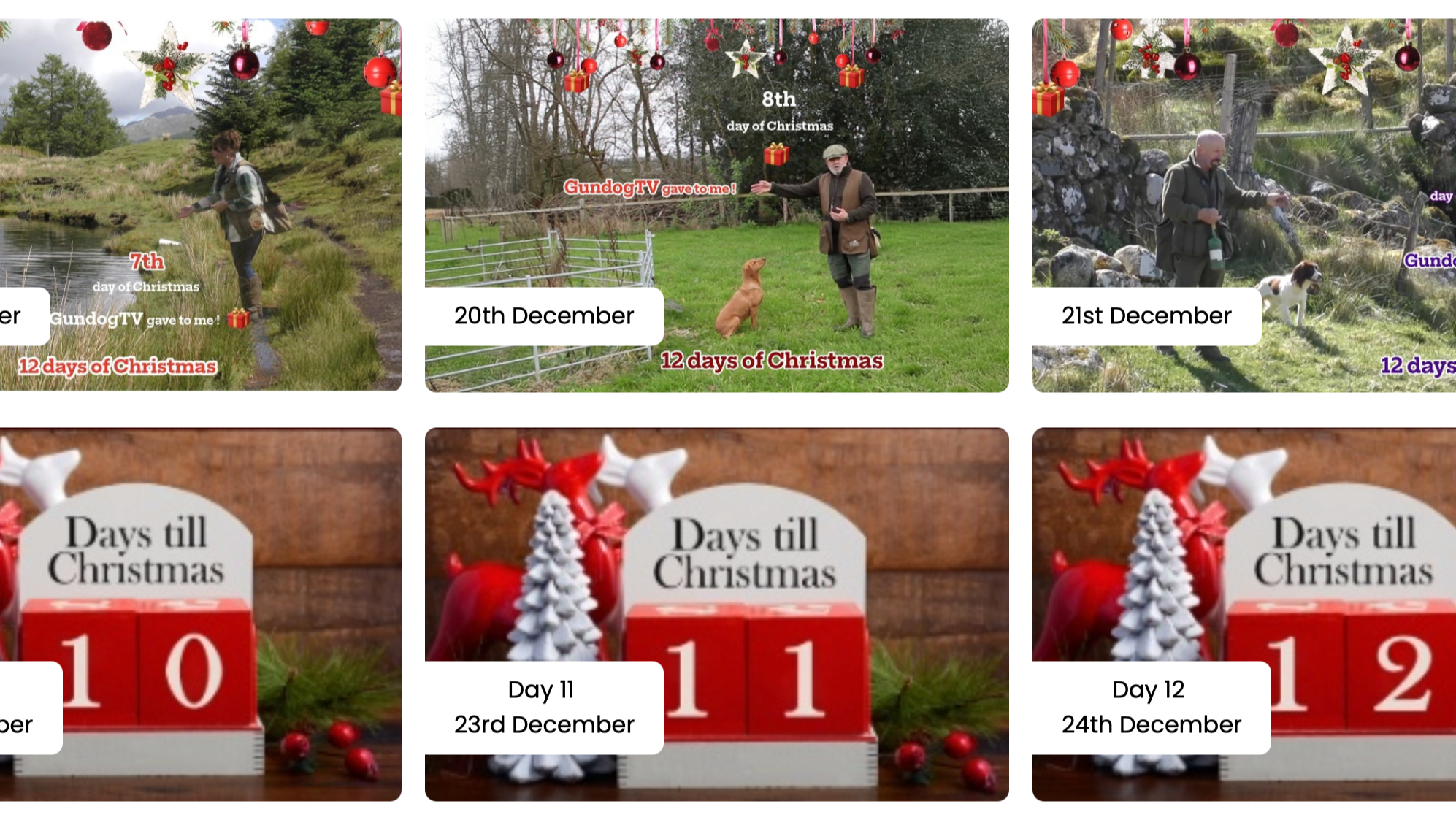 &nbsp; &nbsp; &nbsp; &nbsp;12 Days of Christmas&nbsp;