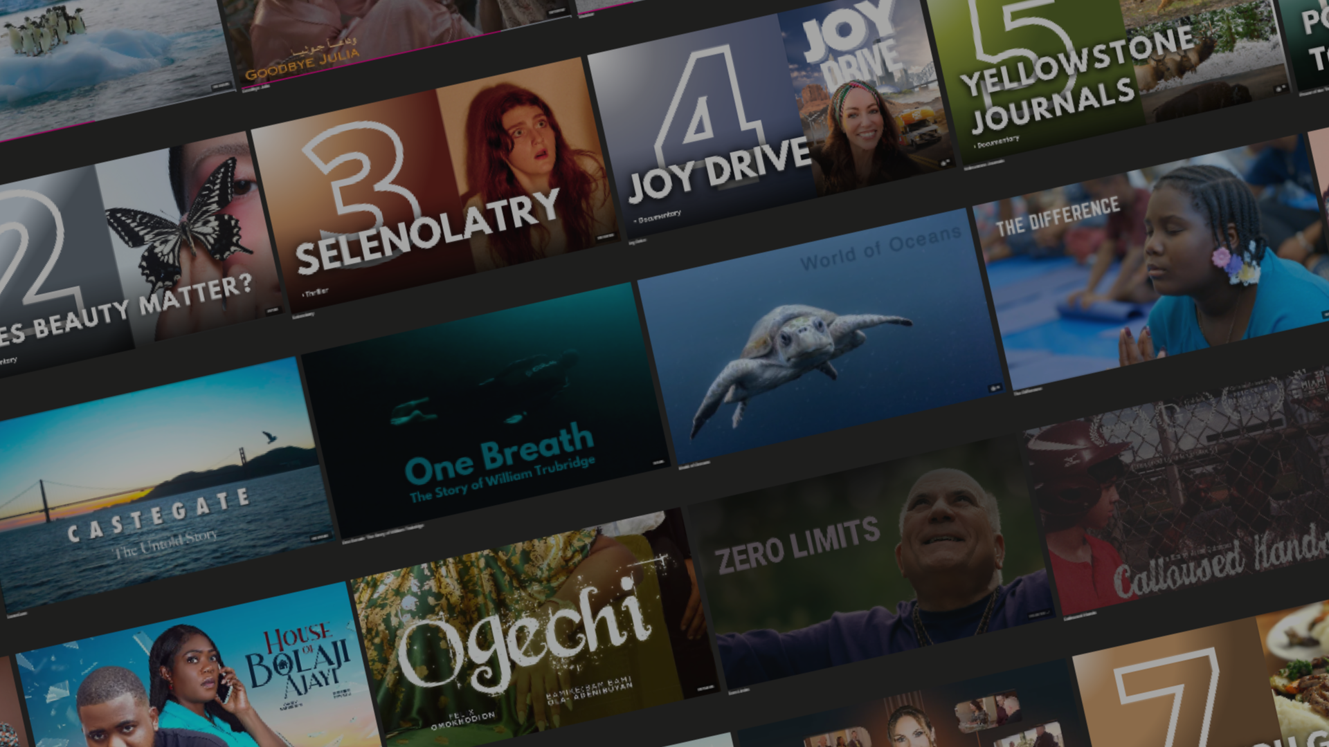 Discover Stories You Won’t Find Anywhere Else