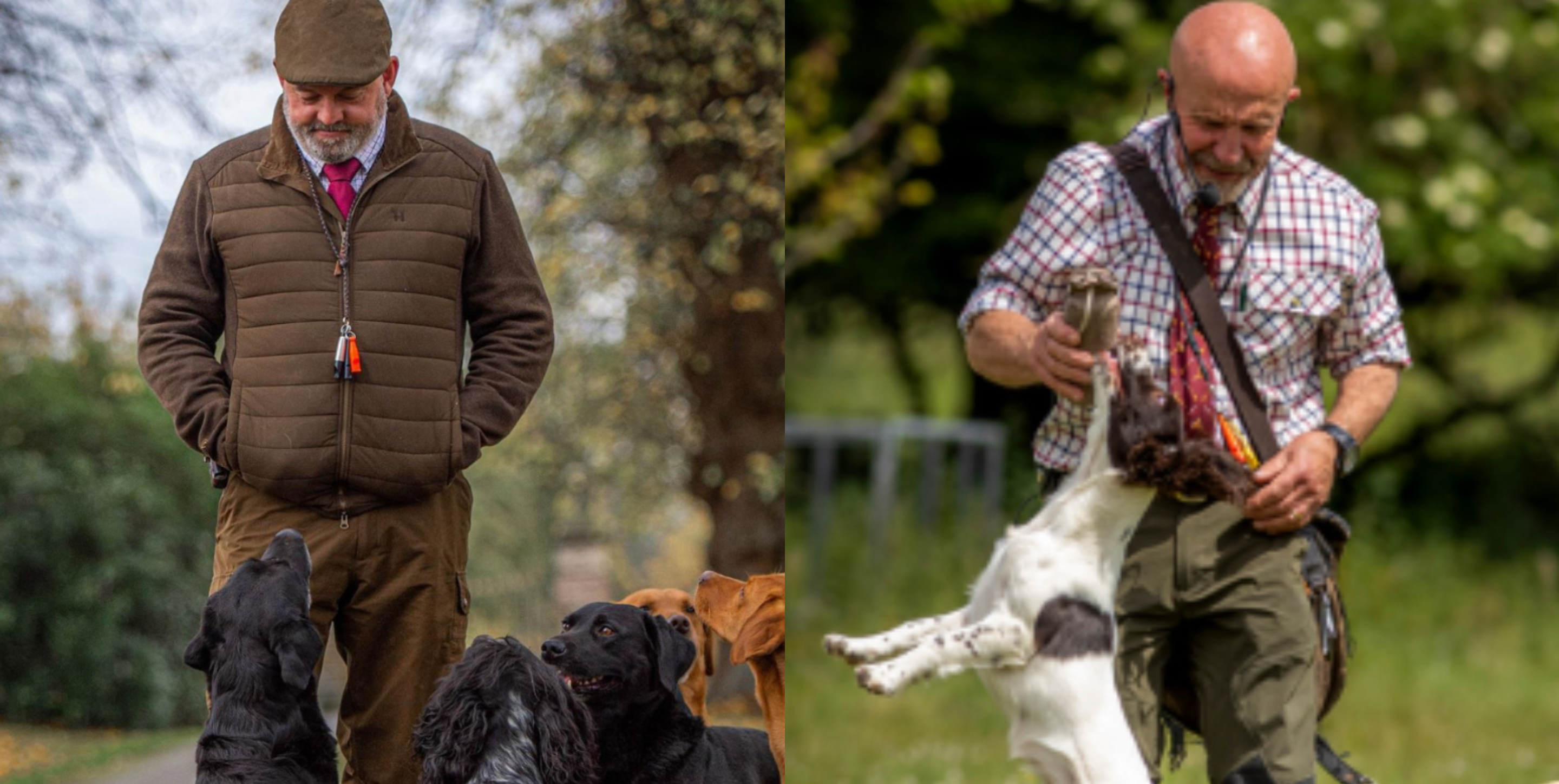 Is Your Gundog Really Under Control?