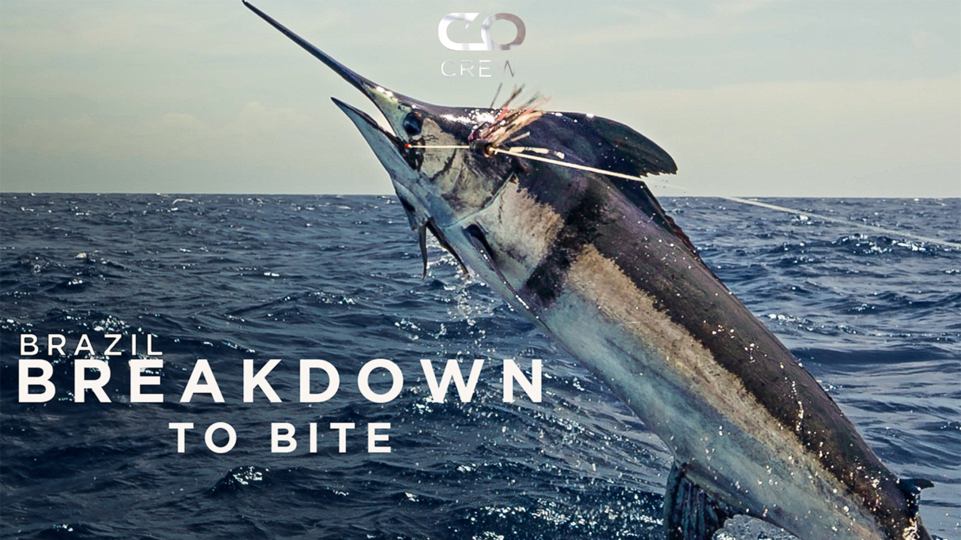 Brazil: Breakdown to Bite - Leg 17