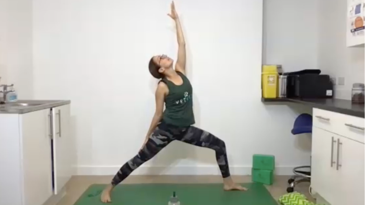 Vet Nurses/Techs/ACAs